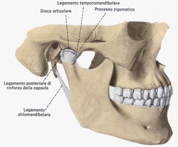 Fisioterapia per mandibola Roma