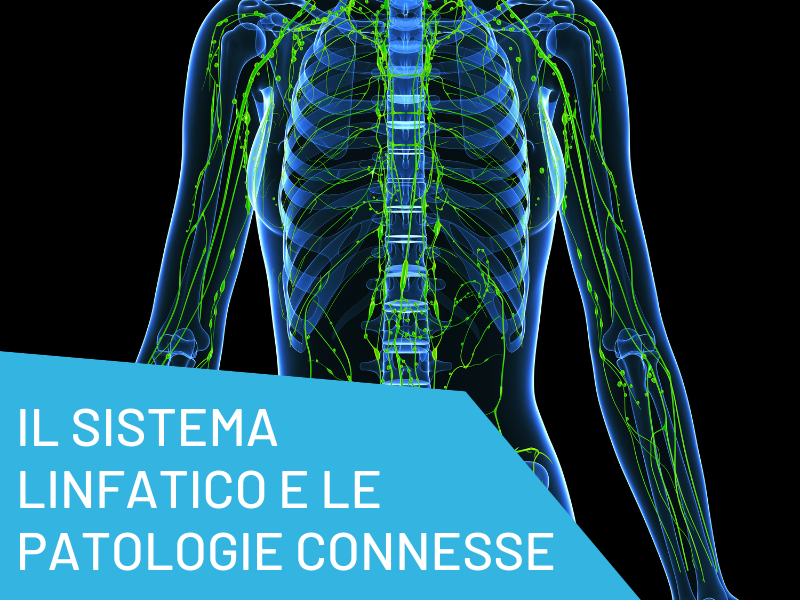 Sistema linfatico patologie e terapie